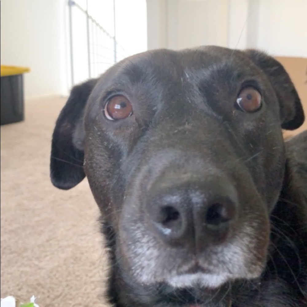 Meet your Posher, Courtney